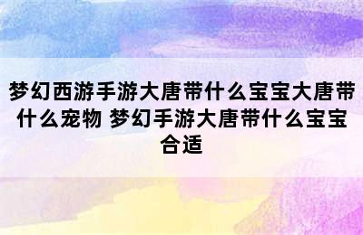 梦幻西游手游大唐带什么宝宝大唐带什么宠物 梦幻手游大唐带什么宝宝合适